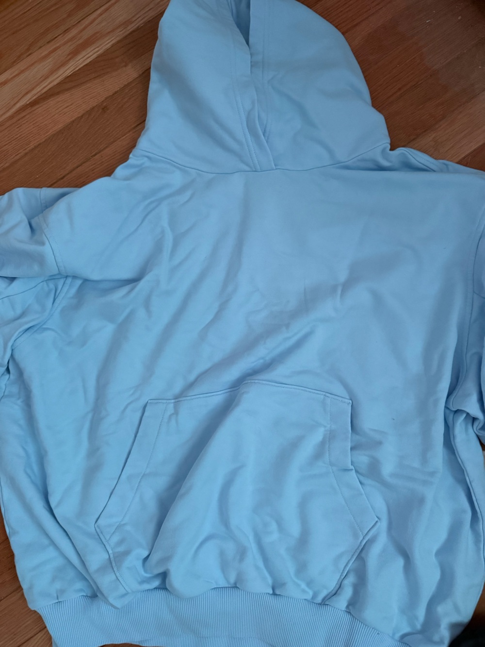 Aerie Women’s Light Blue Comfy Hoodie